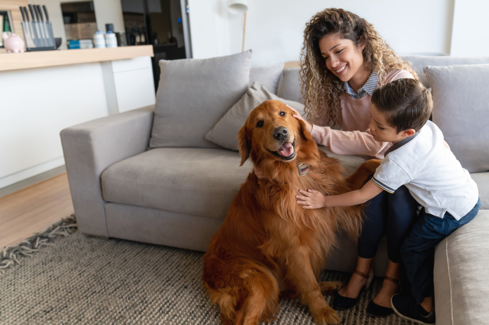 Can Landlords Refuse Pets in 2024